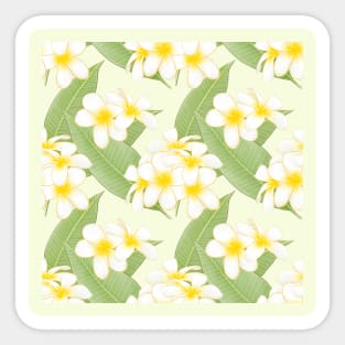 Plumeria Frangipani Sticker